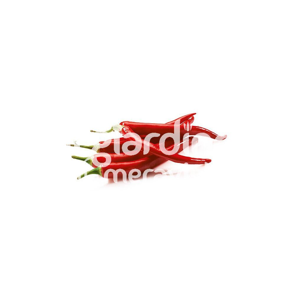 Erzi 12132 Peperone Rosso In Legno – Giocattolo Per Bambini, Gioco Di Ruolo, Fatto In Germania