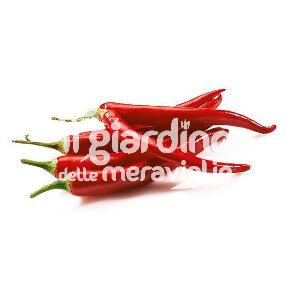 Peperoncino piccante Paprika rosso