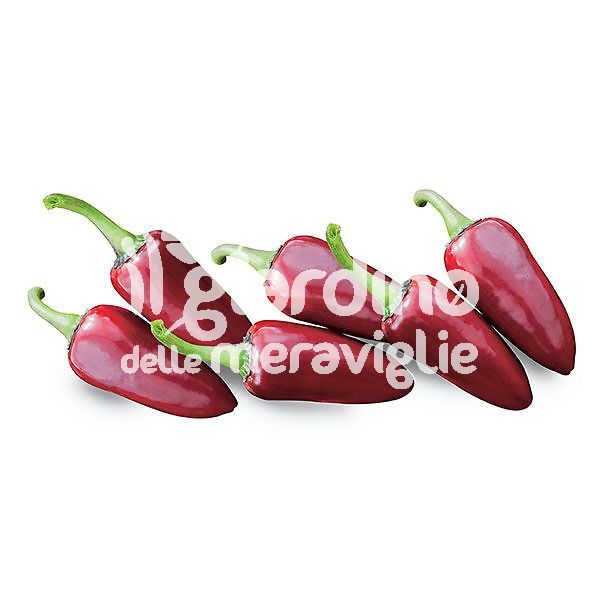 Peperone piccante calabrese