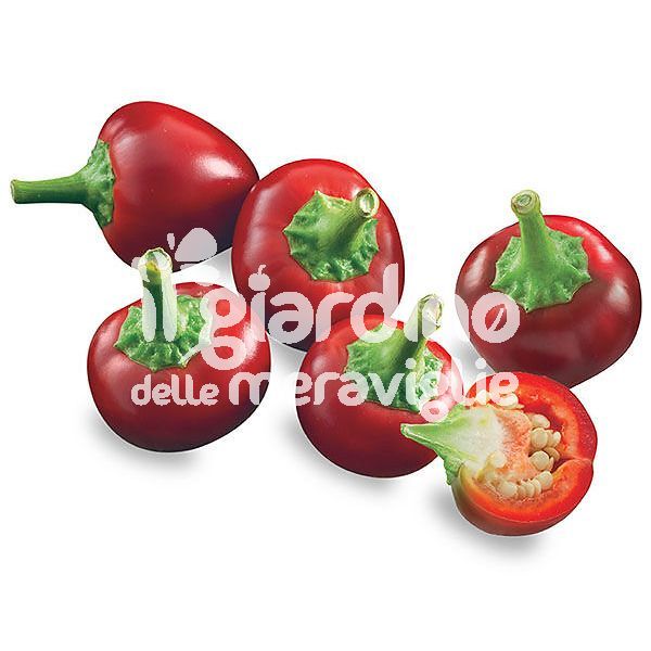 Peperone piccante ciliegia rosso