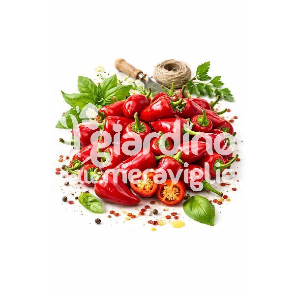 peperoncino piccante Nduja Fire