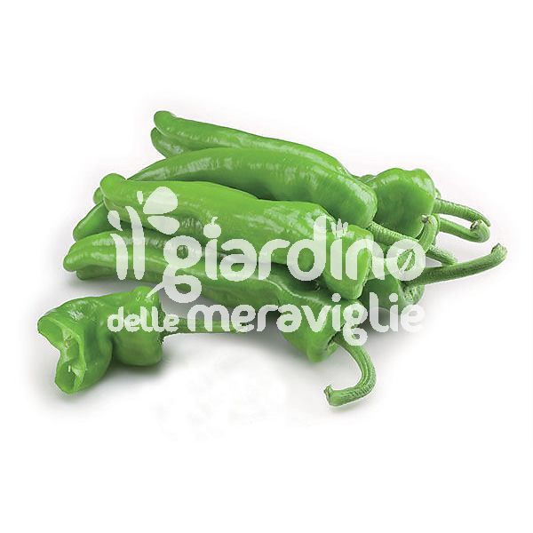 Peperone Friariello o friggitello