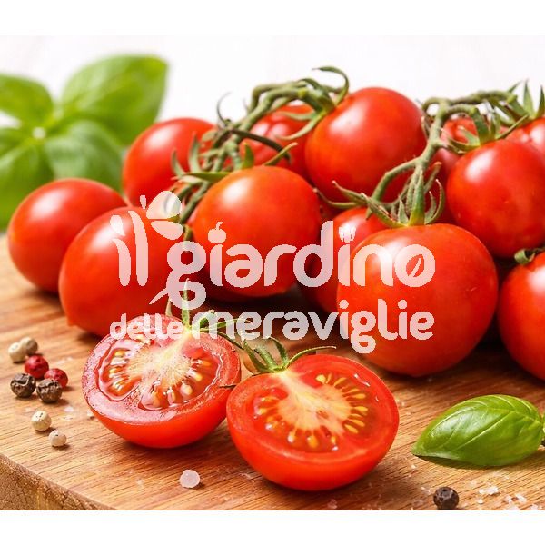 Pomodoro pizzutello eco punta a goccia