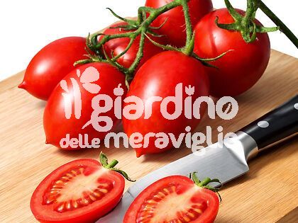 Pomodoro Pizzutello Sauce