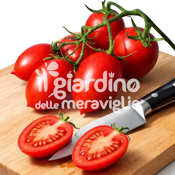 Pomodoro Pizzutello Sauce