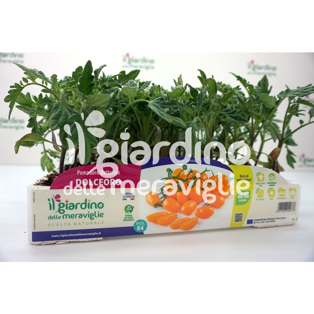 VASO DA FIORI Irrigazione E Fioriera Autoirrigazione Vaso Da Fiori - Foto 12