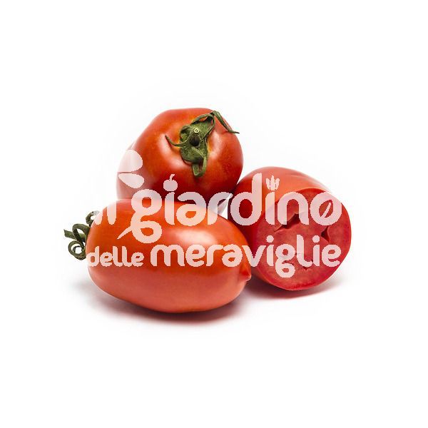 Pomodoro san marzano ALL FLESH nano tutta polpa