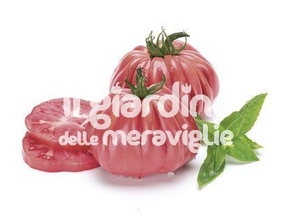 Pomodoro Cuore Rosa Tip. Rosamunda