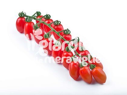 Pomodoro cannellino del Vesuvio