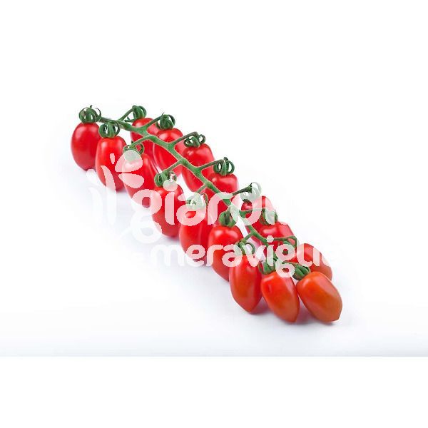 Pomodoro cannellino del Vesuvio
