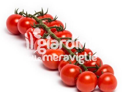 Pomodoro Ciliegino alto