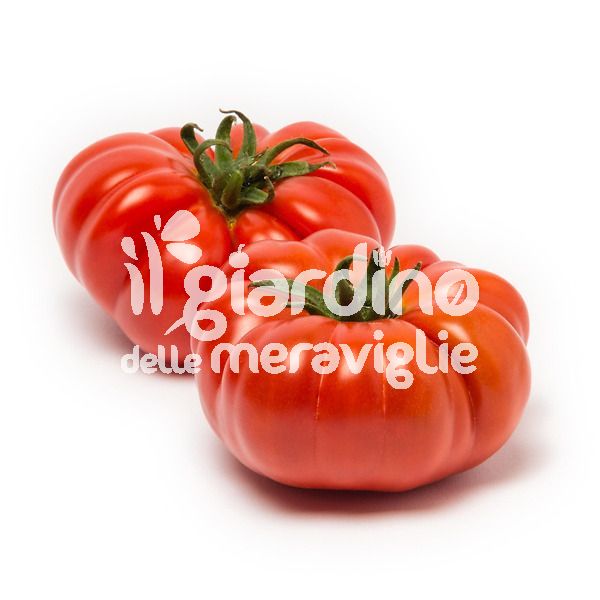 Pomodoro Corleonese