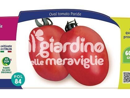 Pomodoro Paride