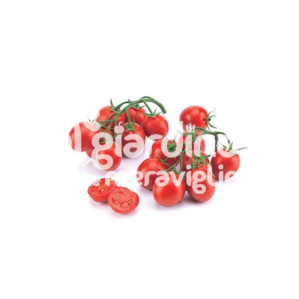 Pomodoro ciliegino var. Pakinoto