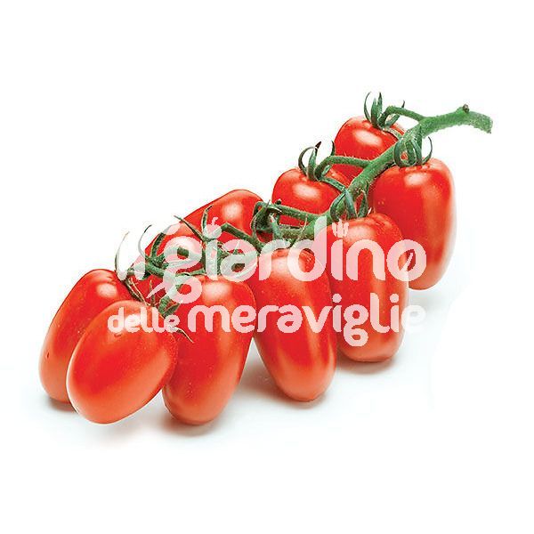 Pomodoro datterino salsa nano