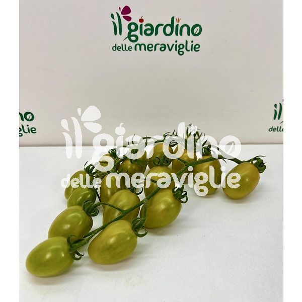 Pomodoro datterino fruttato Mango