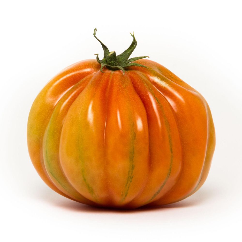 Pomodoro pera d'abruzzo tarquito f1