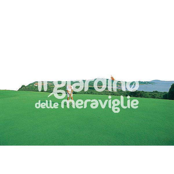 Prato erba paspalum vaginatum