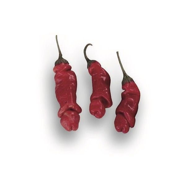 Peperoncino piccante Peter Red Pepper