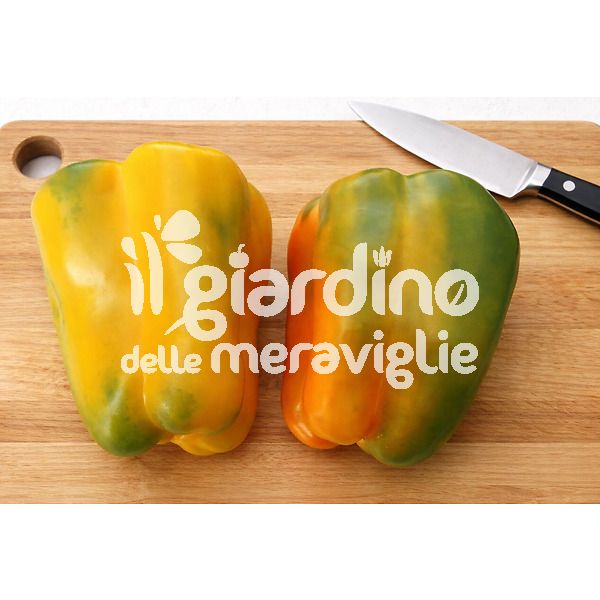 PEPERONE GIALLO SIENOR