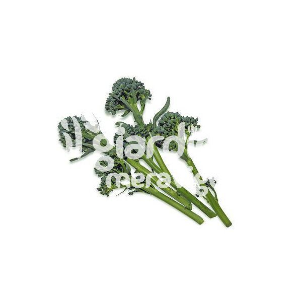 Broccoletto a getti vigoroso (ex Sparacello)