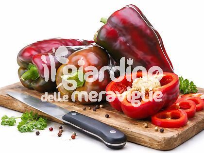 peperone rosso Yahoo