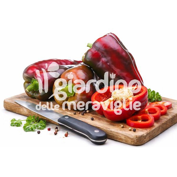 peperone rosso Yahoo