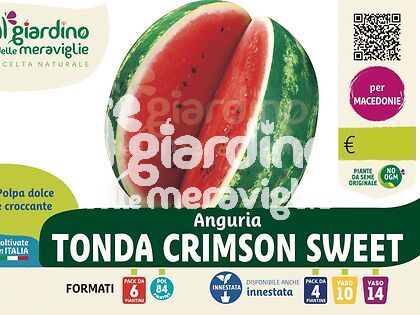 Anguria tonda Crimson Sweet