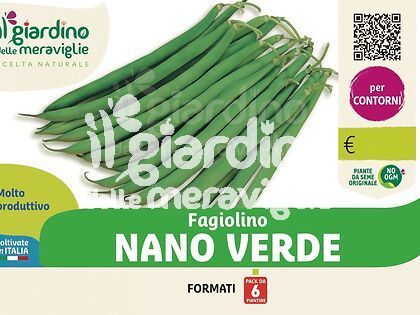 Fagiolino nano verde