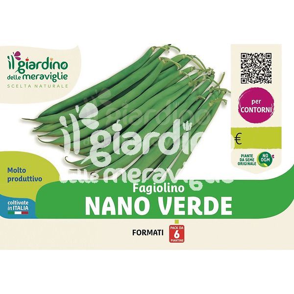 Fagiolino nano verde