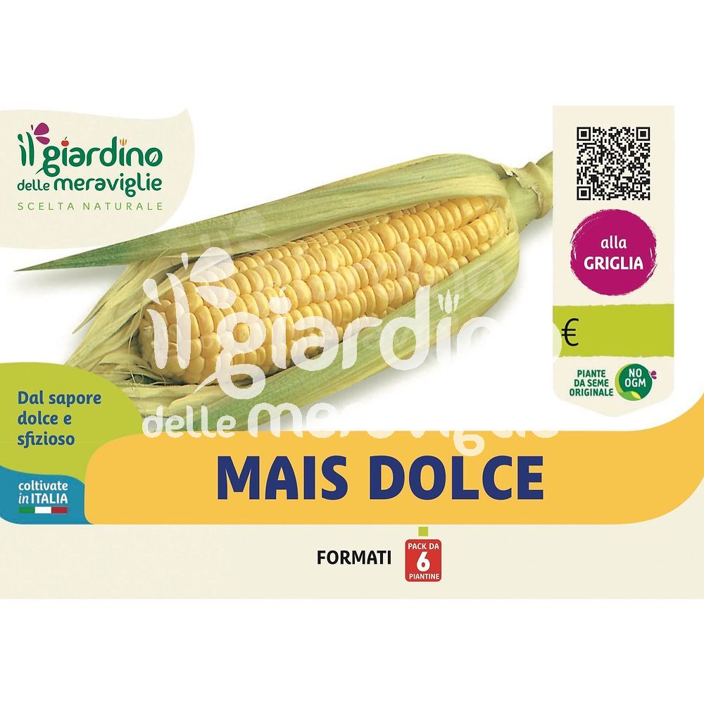 Farina Di Mais Rosso Di Salvia - Foto 2