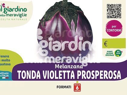 Melanzana tonda violetta Prosperosa