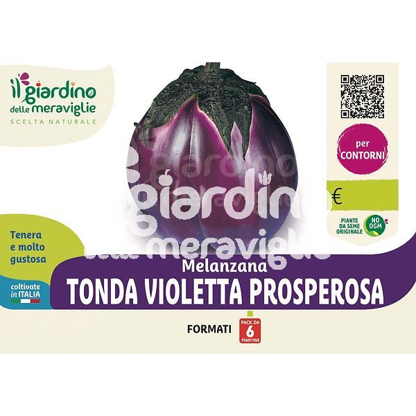 Melanzana tonda violetta Prosperosa