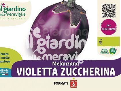 Melanzana violetta Zuccherina