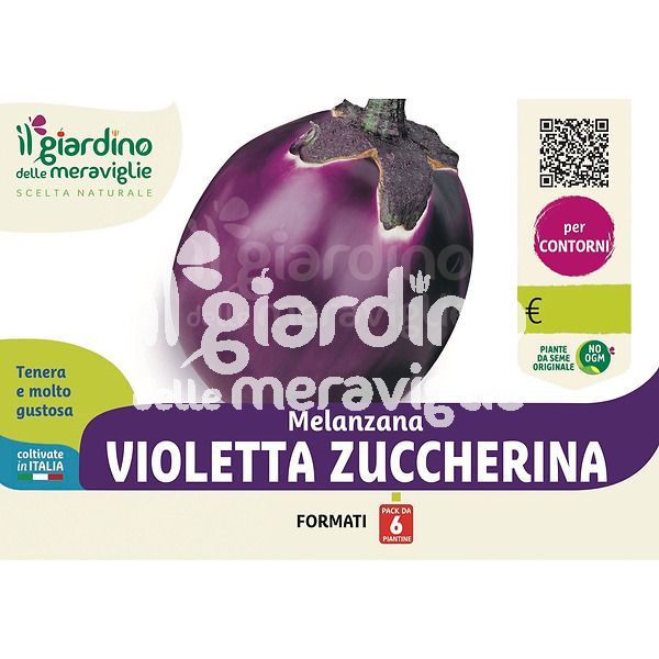 Melanzana violetta Zuccherina