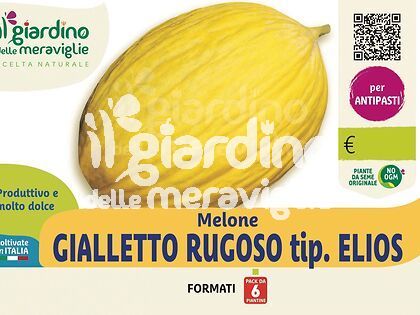 Melone gialletto rugoso tip. Elios