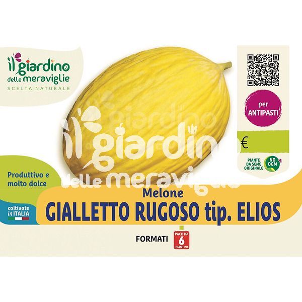 Melone gialletto rugoso tip. Elios