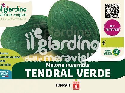 Melone verde Tendral