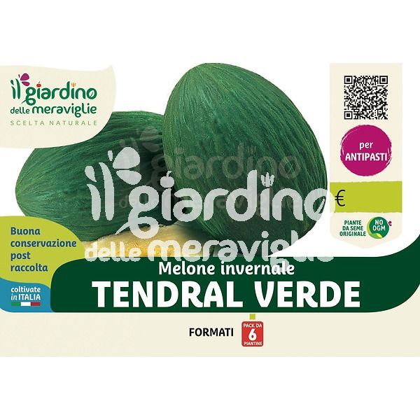 Melone verde Tendral