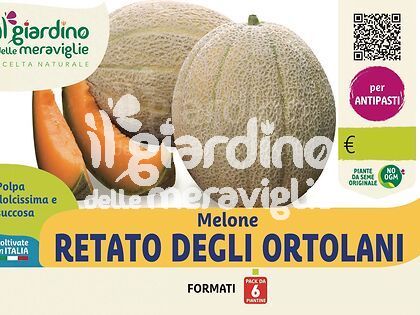 Melone retato degli ortolani