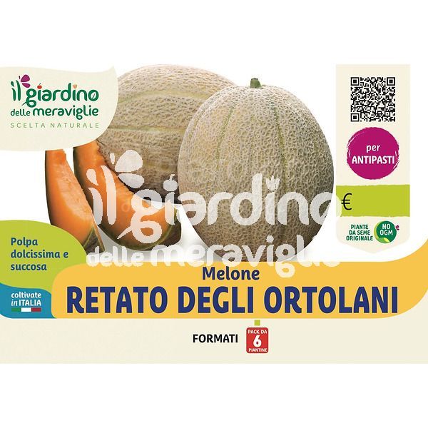 Melone retato degli ortolani