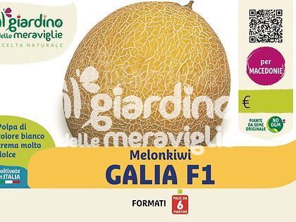 Melonkiwi Galia