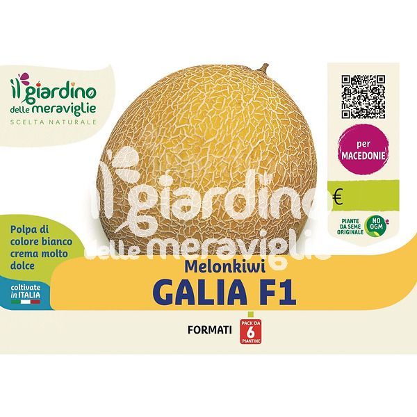 Melonkiwi Galia
