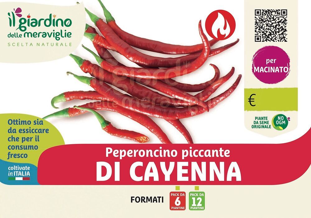 Peperoncino CORTO DI CAYENNA - FINCO Agricoltura Srl - Foto 6