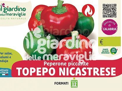 Peperone piccante topepo nicastrese