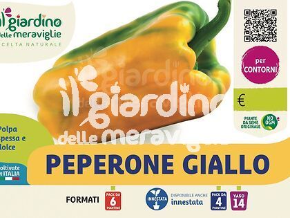 Peperone Giallo ibrido