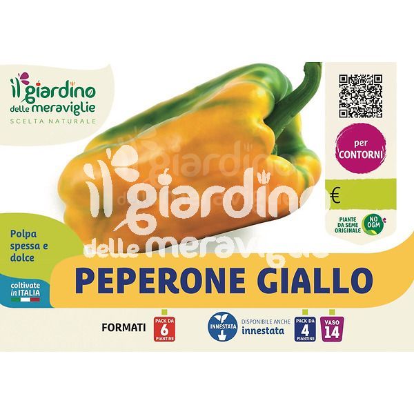 Peperone Giallo ibrido