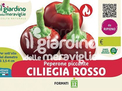 Peperone piccante ciliegia rosso