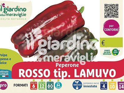 Peperone rosso tip. Lamuyo