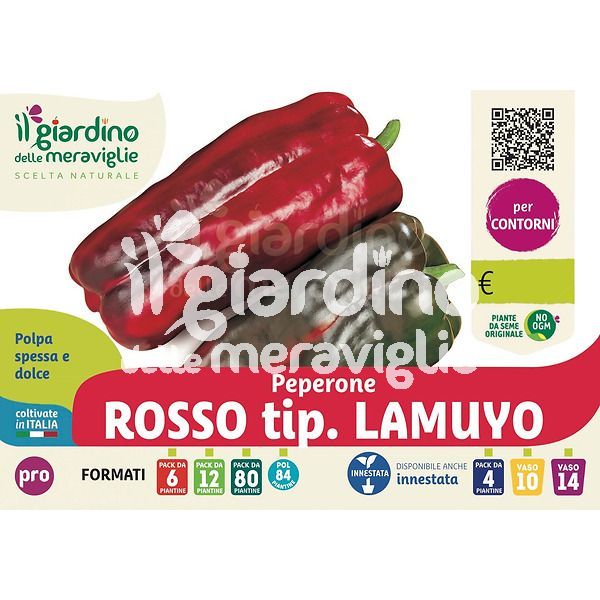 Peperone rosso tip. Lamuyo